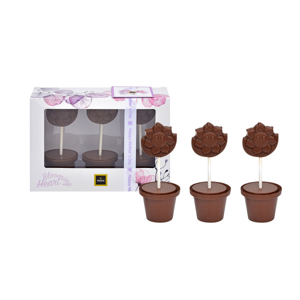 Box of 3 pieces Chocolate Flower Pots