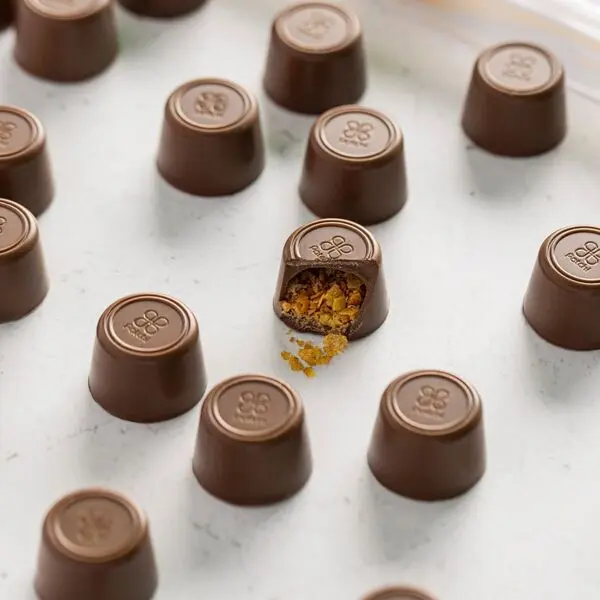 Box of 16 Pieces of Chocolate with Crispy Fillings, Deli'Crunch